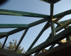 DSCN1393