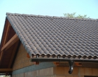 DSCN1420